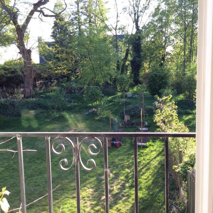 vue sur le jardin et le potage