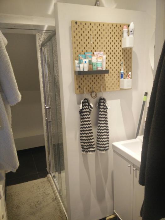 Room in owner's house