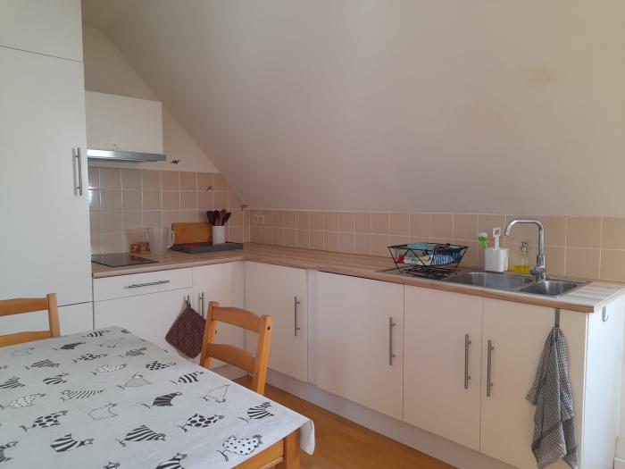 Room in owner's house