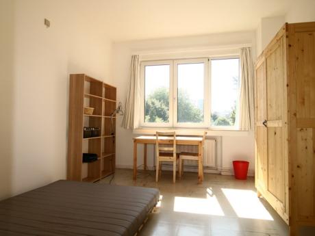 Shared housing 20 m² in Brussels Ixelles : cimetiere