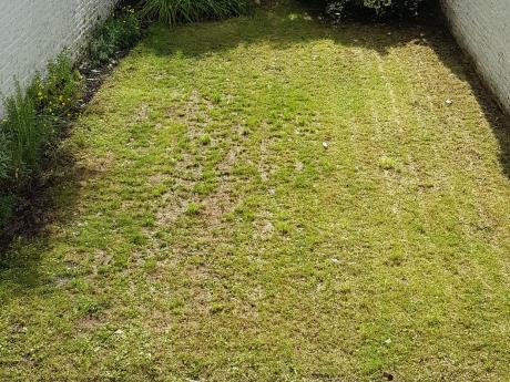 合租房 55 m² 在 Brussels Uccle