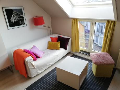 与房东合租 60 m² 在 Brussels Ixelles : Namur / Flagey