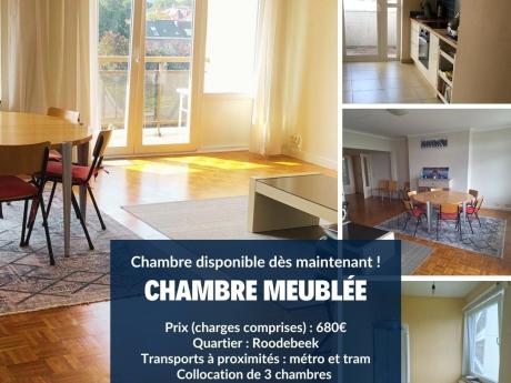Colocation 118 m² à Bruxelles Woluwe-Saint-Lambert