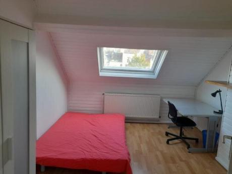 Colocation 15 m² à Bruxelles Ixelles : Cimetière