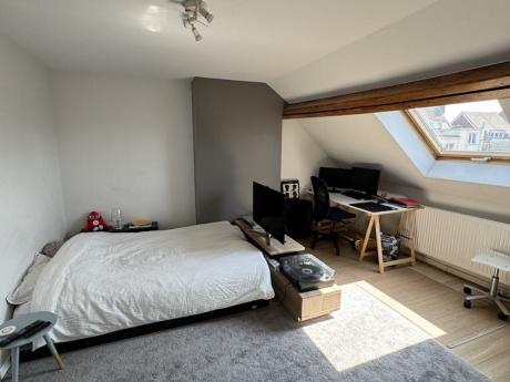 Colocation 12 m² à Bruxelles Ixelles : Cimetière