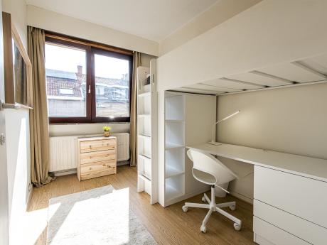 Shared housing 300 m² in Brussels Etterbeek / Europe