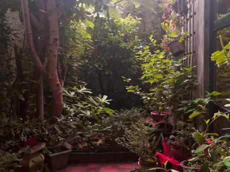 Kot chez l'habitant 40 m² à Bruxelles Schaerbeek