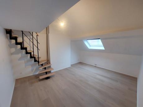 Shared housing 250 m² in Brussels Ixelles : cimetiere