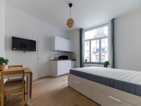 Studio 30 m² in Brussels Ixelles : Namur / Flagey