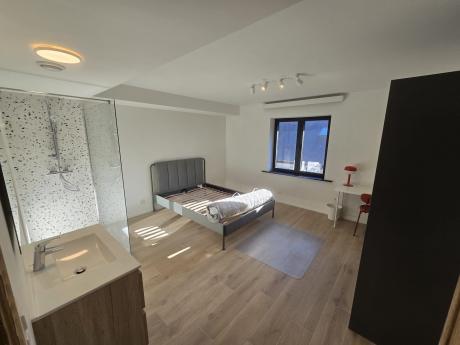 Kot 18 m² in Brussel Sint-Pieters-Woluwe