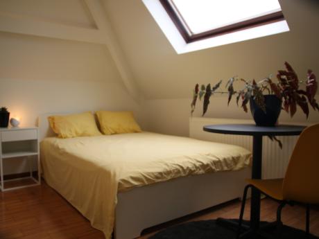 Colocation 14 m² à Bruxelles Schaerbeek