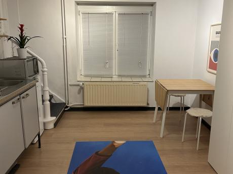 Studio 25 m² in Brussels Ixelles : Namur / Flagey