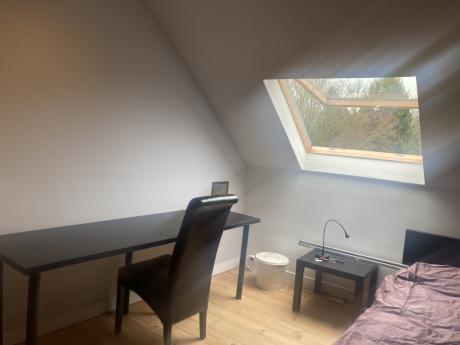 与房东合租 55 m² 在 Brussels Woluwe-Saint-Pierre
