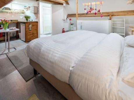 Studio 16 m² in Brussel Anderlecht