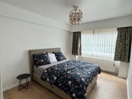 Colocation 90 m² à Bruxelles Woluwe-Saint-Lambert