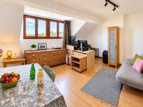 Studio 22 m² in Brussels Jette
