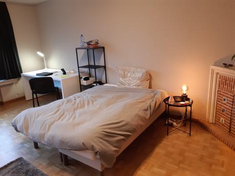 Colocation 25 m² à Bruxelles Ixelles : Cimetière