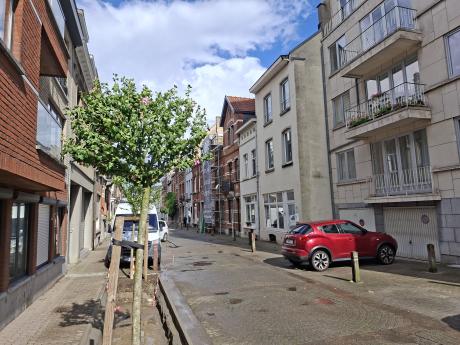Co-locatie 12 m² in Brussel Sint-Pieters-Woluwe