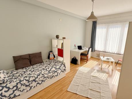 Co-locatie 100 m² in Brussel Etterbeek Europa