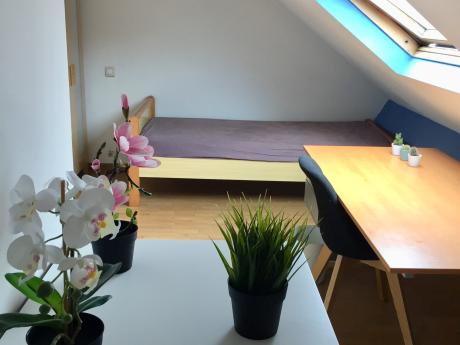 Kot 22 m² in Brussel Sint-Gillis
