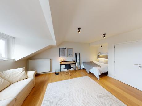 Co-locatie 21 m² in Brussel Schaarbeek