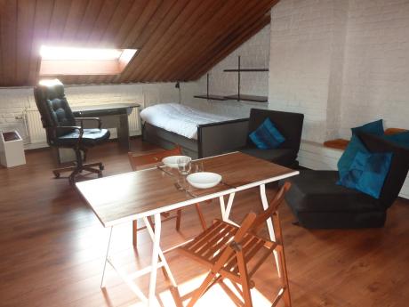 Room in owner's house 25 m² in Brussels Ixelles : Bascule